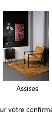 ASSISES